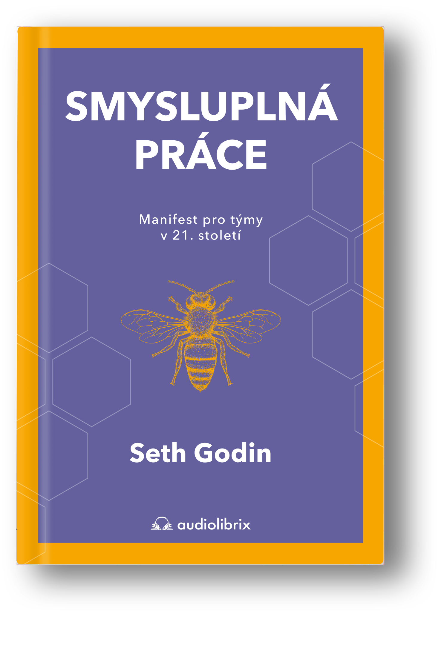 Kniha - Smysluplná práce - Seth Godin